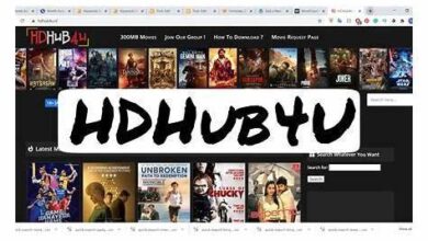hdhub4u-spa